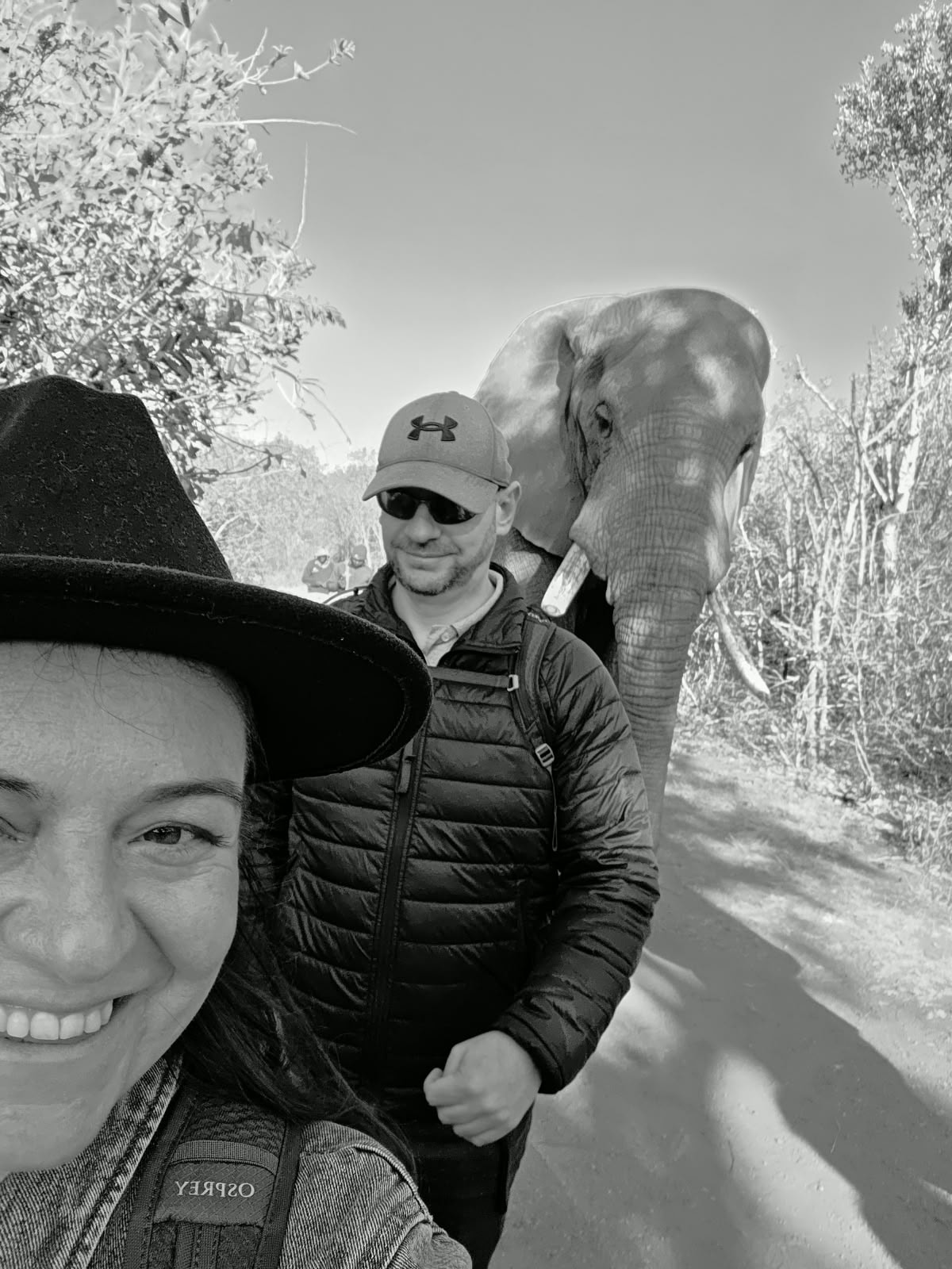 Met 'n olifant